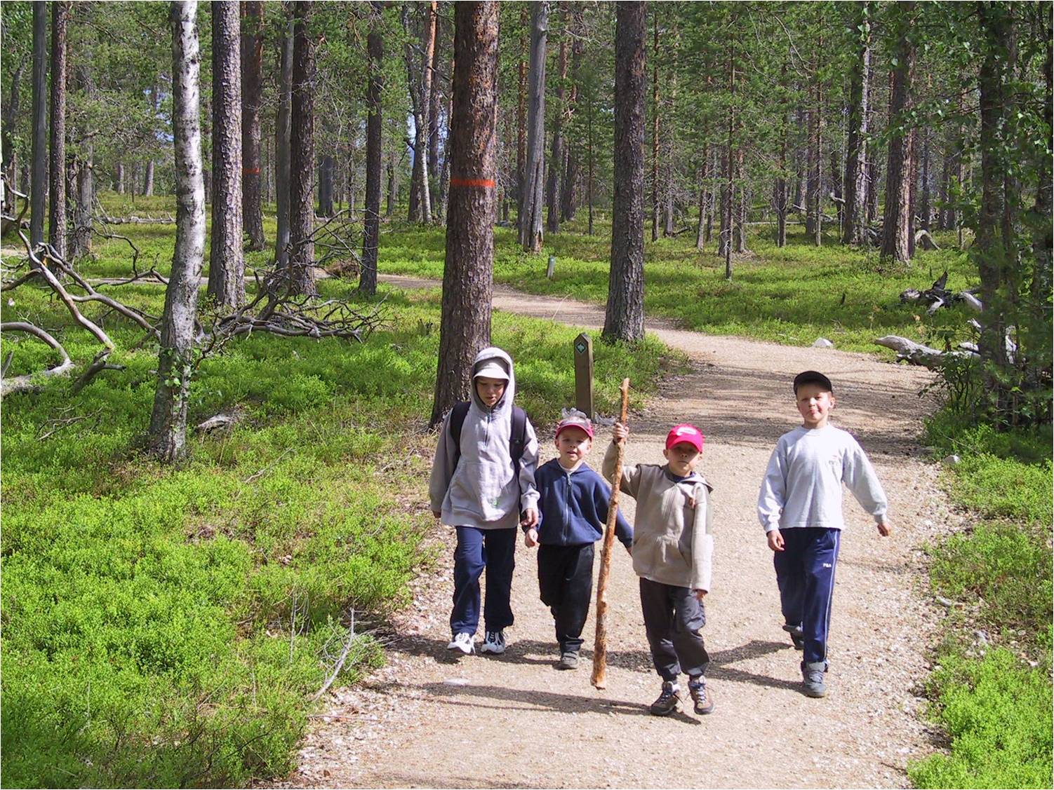 kesalapset-retkellaerkkonenjoelpyha-luoston-kp
