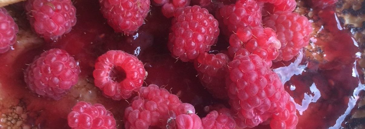 lahiruoan-edistamista-tukeva-toimintamalli-julkisiin-ruokapalveluihin-2