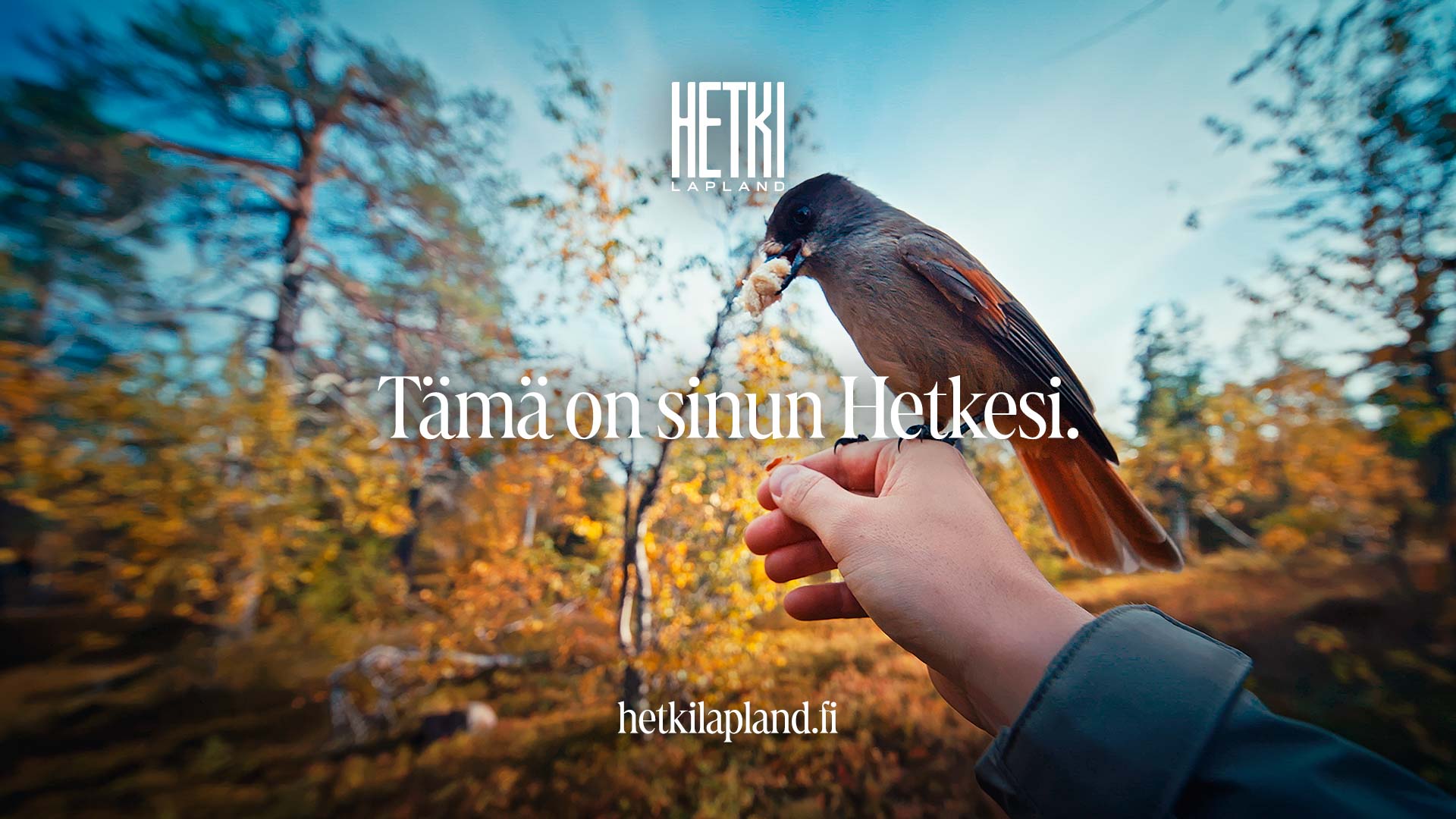 Hetki-kampanja Luosto Kantapäävaaran tonttimarkkinointi