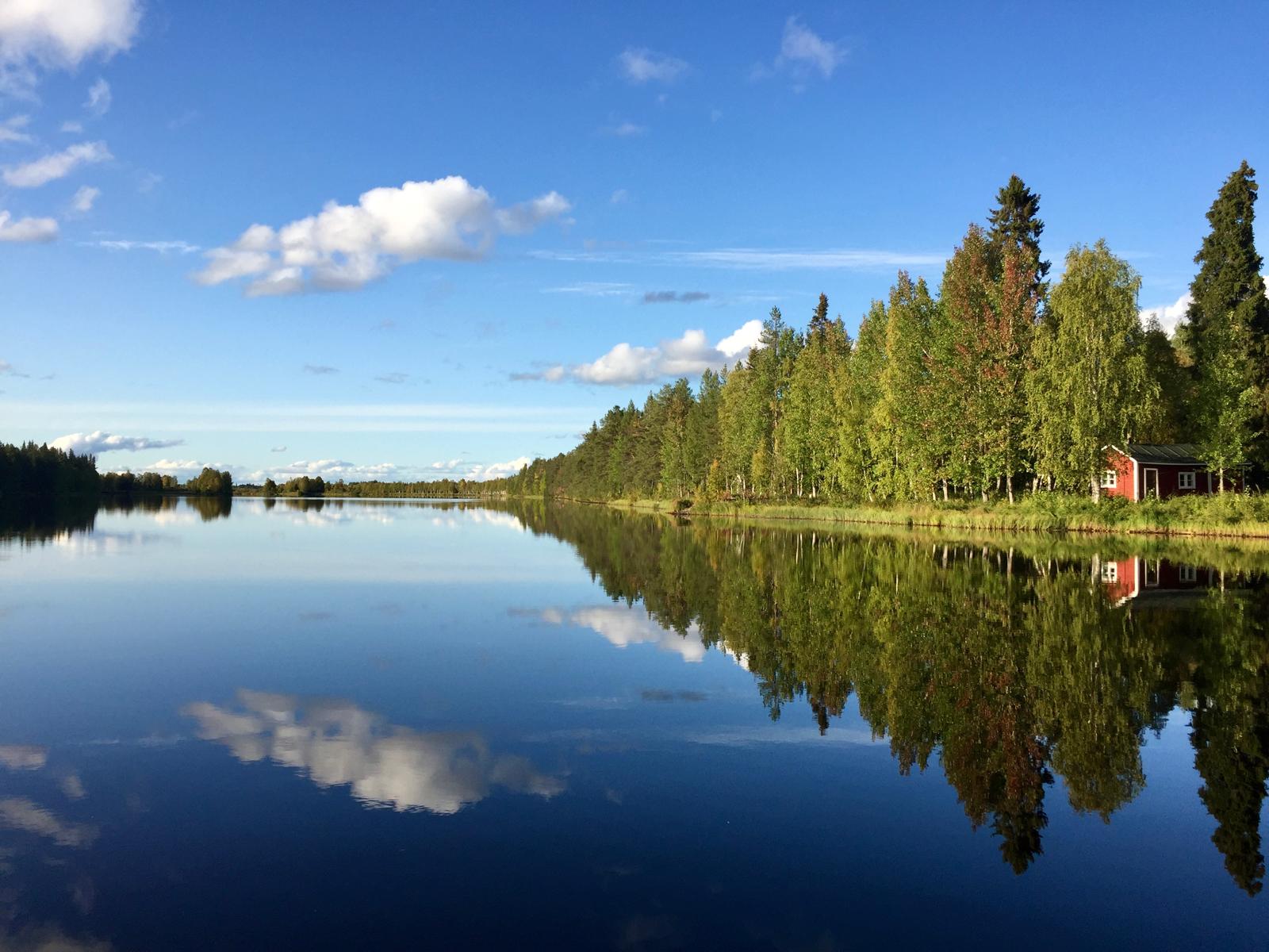 Kitinen kesällä Kitinen kesällä (kuva: Liisa Kuittinen)