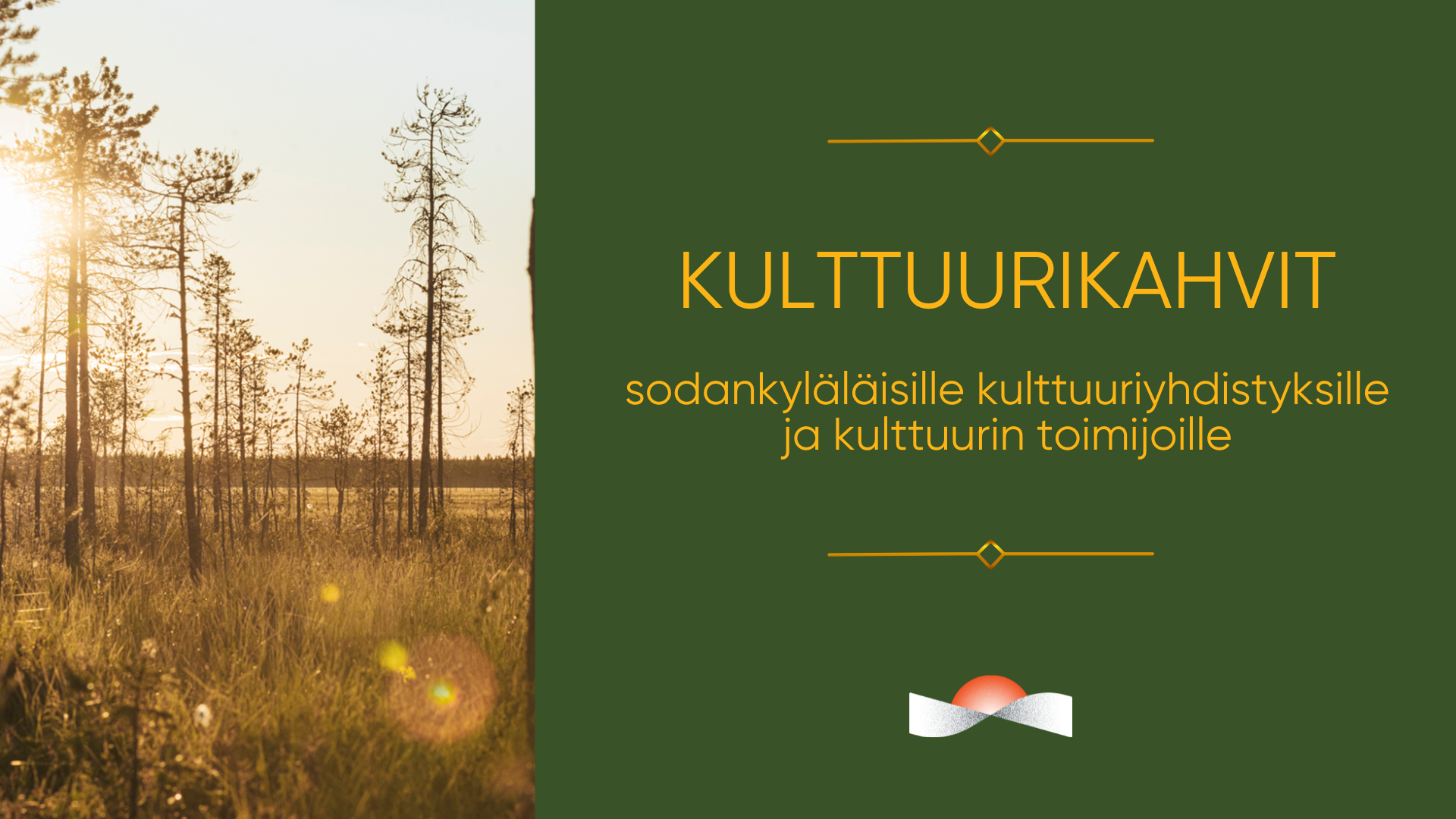 Maisemavalokuva suolta, jolla kasvaa hentovartisia mäntyjä.