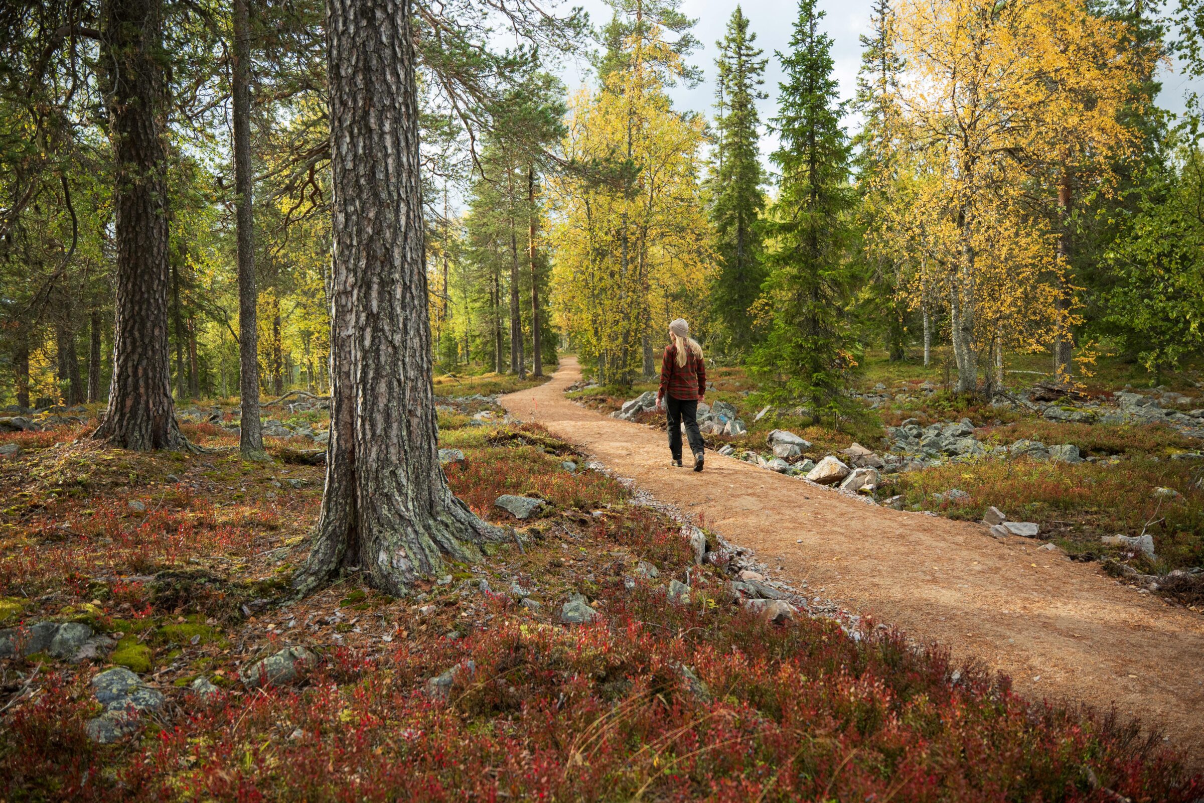 Retkeilijä Kantapäävaaran reitillä, Luostolla